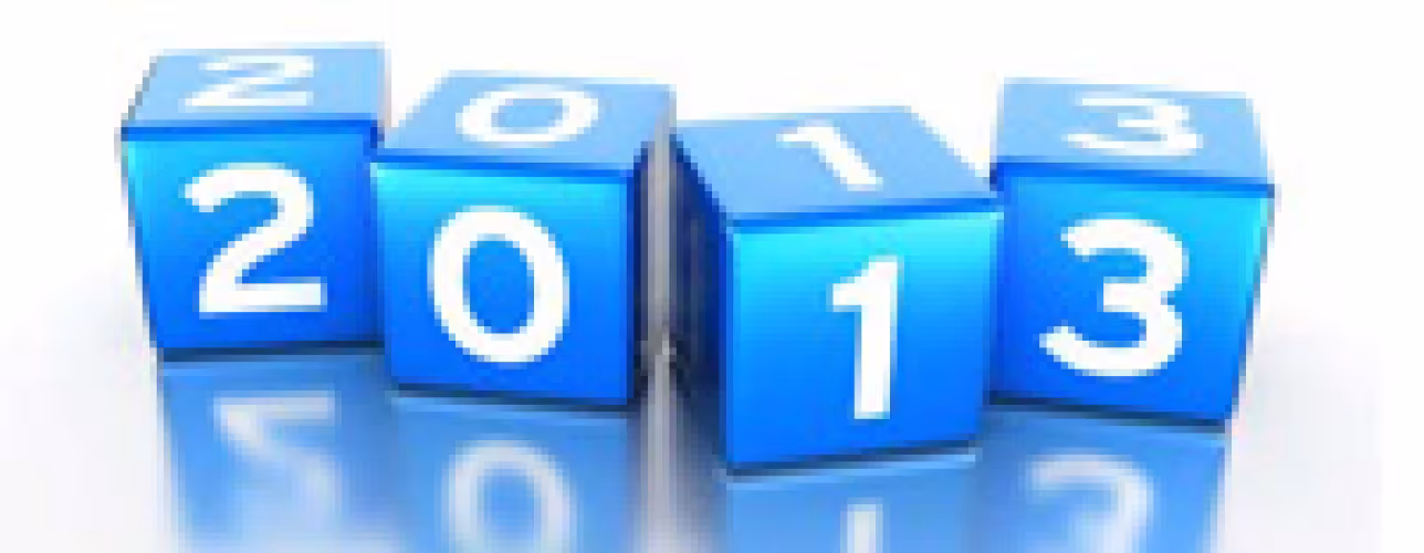 Año 2013