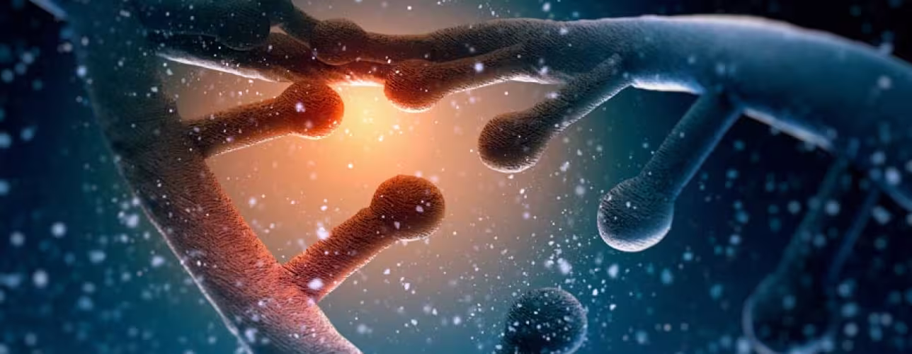 El Gobierno crea un banco de ADN para la identificación de los restos recuperados en el programa de exhumaciones