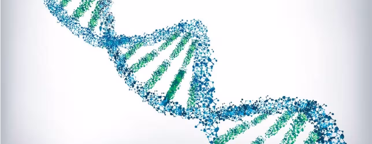 El Banco de ADN creado hace un año por Gobierno de Navarra permite identificar a 7 nuevas víctimas del 36