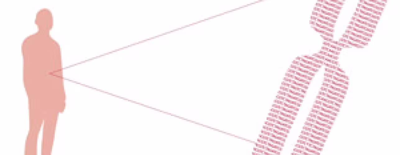 El Gobierno de Navarra financiará con 9,89 millones seis proyectos estratégicos de I+D+i hasta 2019