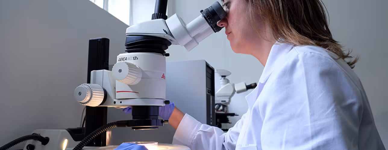 laboratorio_nasertic