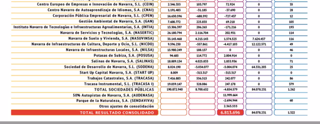 cuentas anuales sociedades públicas de navarra