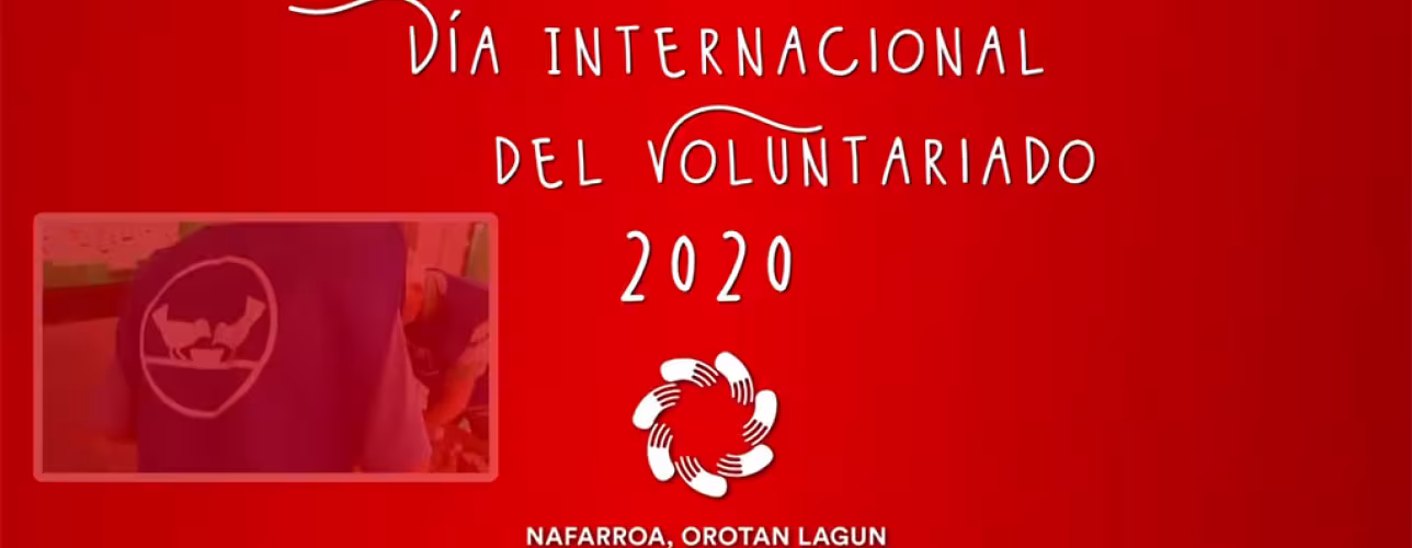 Imagen con fondo rojo donde se muestra el título "Día internacional del voluntariado 2020" y el logotipo de Navarra Más Voluntaria