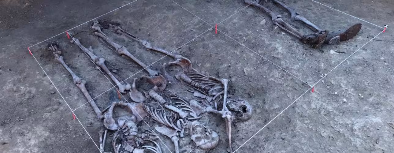 Los restos encontrados