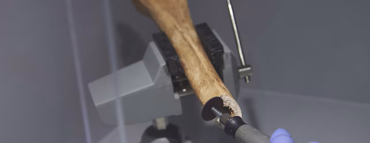 Trabajo en el laboratorio de Nasertic